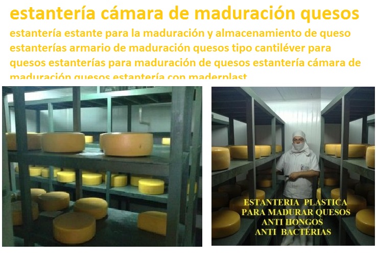 estantería estante para la maduración y almacenamiento de queso estanterías armario de maduración quesos tipo cantiléver para quesos estanterías para maduración de quesos estantería cámara de maduración quesos estantería con maderplast estantería estante para la maduración y almacenamiento de queso estanterías armario de maduración quesos tipo cantiléver para quesos estanterías para maduración de quesos estantería cámara de maduración quesos estantería con maderplast 0 1 2 3 4 5 6 7 8 9 estantería estante para la maduración y almacenamiento de queso estanterías armario de maduración quesos tipo cantiléver para quesos estanterías para maduración de quesos estantería cámara de maduración quesos estantería con maderplast 213 546 879 0 estantería estante para la maduración y almacenamiento de queso estanterías armario de maduración quesos tipo cantiléver para quesos estanterías para maduración de quesos estantería cámara de maduración quesos estantería con maderplast 213 546 879
